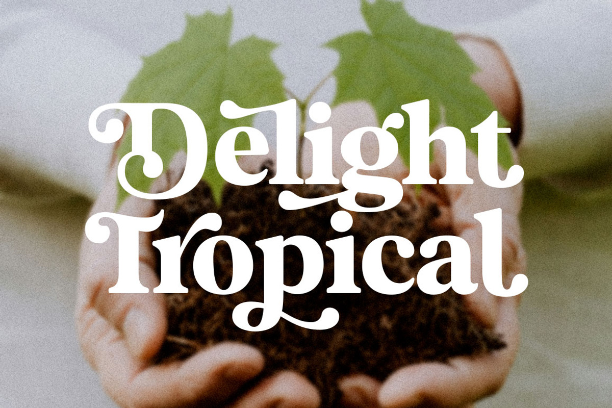Magnilo Display, a Serif Font by Mulkan Nazir (Photo 17 of 18)