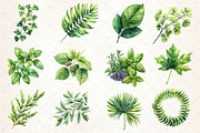 Green Summer Foliage Clipart, an Illustration by Dream Creation (Thumbnail 3 of 4)