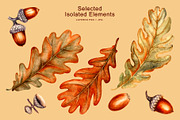 Oak&Acorn Harvest watercolor clipart, a Decorative Illustration by EL_SUHOVA (Thumbnail 3 of 14)