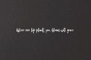 Bellissimo Typeface + Minimal Logos, a Script Font by Callie Rian & Co. (Thumbnail 7 of 11)