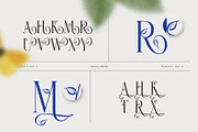 Gamory Typeface, a Serif Font by alit design (Thumbnail 11 of 21)