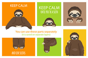 The Story Of One Sloth