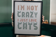 Cat Lady - Cat font, a Font by arausidp (Thumbnail 9 of 10)