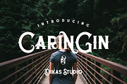 Caringin Typeface, a Serif Font by Dikas Studio (Thumbnail 1 of 6)