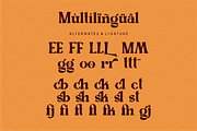 Signesha Elegant Typeface, a Sans Serif Font by 24Design Studios (Thumbnail 9 of 10)
