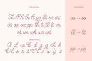 Brookley - Monoline Script Font, a Script Font by Danielle Eneh (Thumbnail 6 of 12)