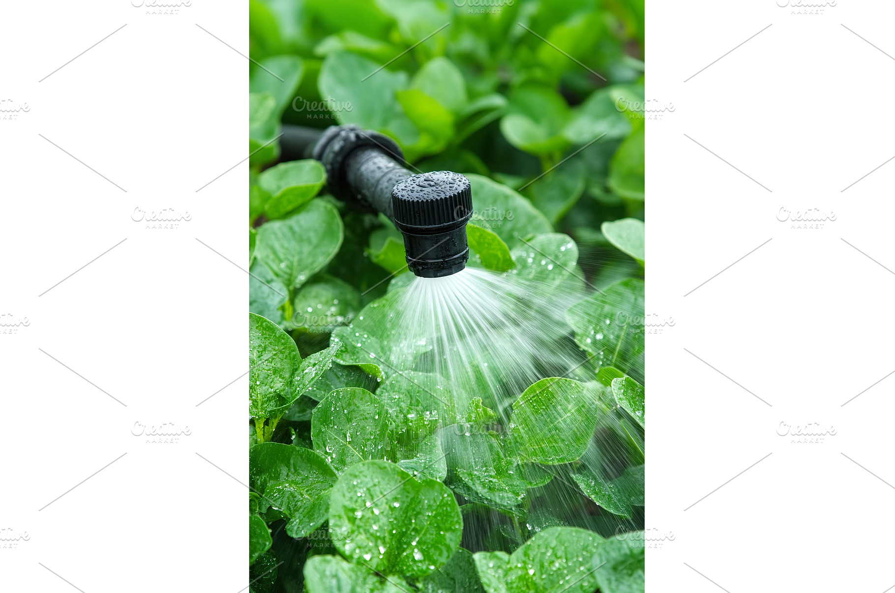 Advanced irrigation systems for, a Technology Photo by Lermont51