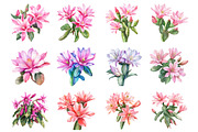 Cactus green Clipart, an Illustration by Design Market (Thumbnail 2 of 3)