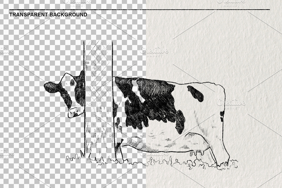 Sketch of a cow PNG, an Animal Illustration by LOKSKIH (Photo 2 of 7)