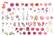 Magenta dahlia,watercolor flowers, an Illustration by yulia.sukhanova (Thumbnail 3 of 5)
