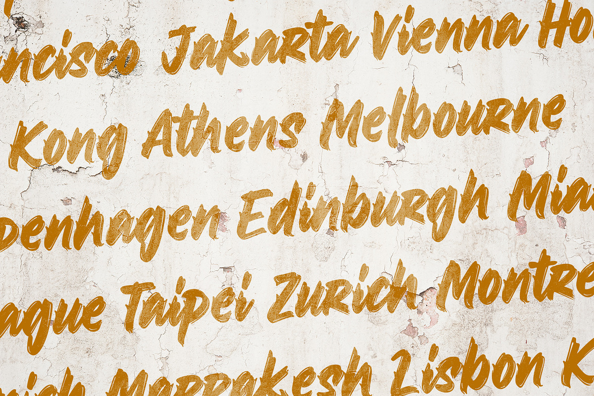 Brave Factor, a Script Font by Ditatype (Photo 7 of 10)