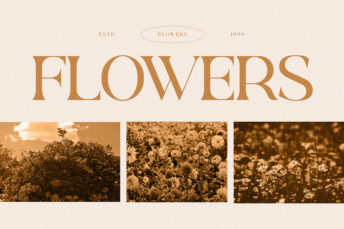 Rowun Elegant Serif Font Typeface, a Serif Font by Perfectype (Photo 4 of 10)