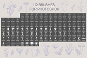 Mushrooms Procreate Stamp Brushes, a Brush Add-On by NinaFedorova (Thumbnail 4 of 4)