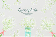 Watercolor Gypsophila Baby's Breath, an Illustration by Corner Croft (Thumbnail 7 of 7)