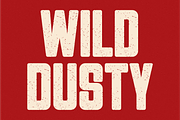 Stardust - Condensed Texture Font, a Sans Serif Font by Pian45 Studio (Thumbnail 3 of 8)