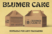 Suncos - Retro Funk Font!, a Serif Font by HansCo Studio (Thumbnail 9 of 11)