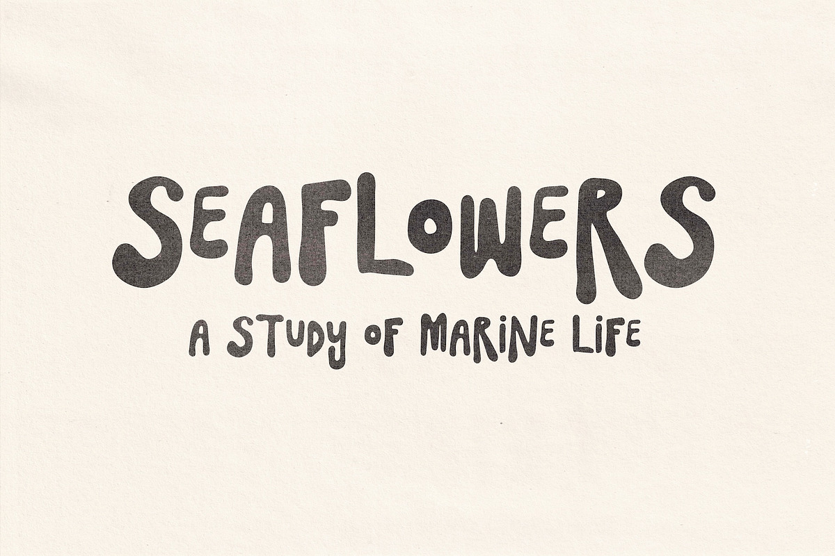 SeaFlower | Hand Drawn Surf Font, a Handwritten Font by Madeline ODonoghue Design (Photo 10 of 12)