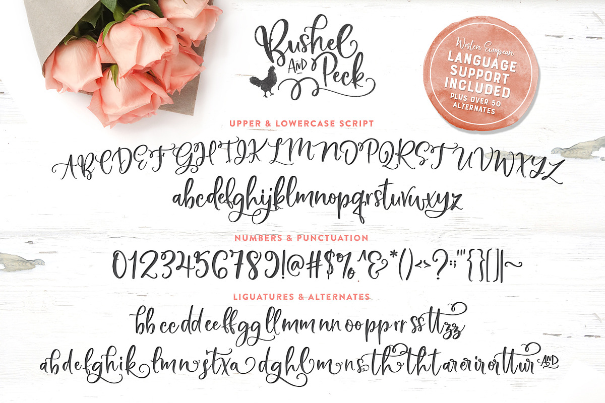 Bushel & Peck Fonts & Logos preview 2