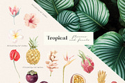 Tropical Flowers, Fruits and Leaves, a Decorative Illustration by Julia M. Watercolor (Thumbnail 11 of 14)