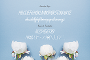 Anthony, a Serif Font by Pinisi ART (Thumbnail 2 of 10)