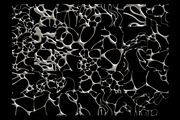 Neuro - Neurographic Textures & PNGs, a Texture Graphic by saintricchi (Thumbnail 7 of 7)