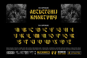 Break Roman Typeface, a Blackletter Font by alit design (Thumbnail 9 of 17)
