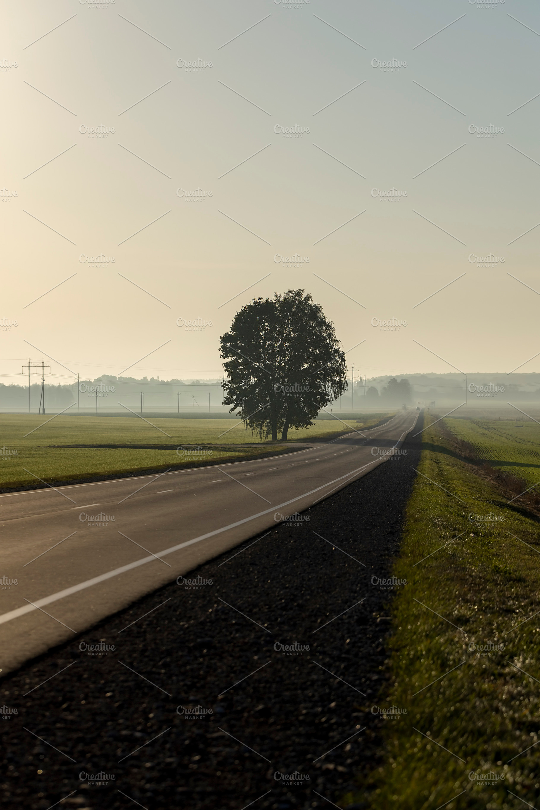 an asphalt highway in a foggy morning with cars in the distance and a tree on t, a Photo by rsoollAI