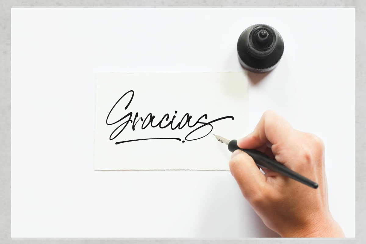 Signature United, a Script Font by AMINMARIO (Photo 8 of 8)