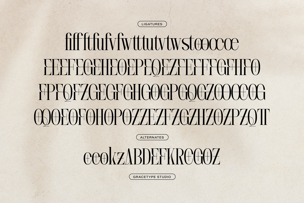 Lequano | New Display Serif, a Serif Font by gracetype_studio (Photo 12 of 12)