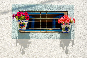 Flowerpots stock photo, a Nature Photo by lsalas-morera