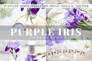 Purple Iris Styled Stock Collection