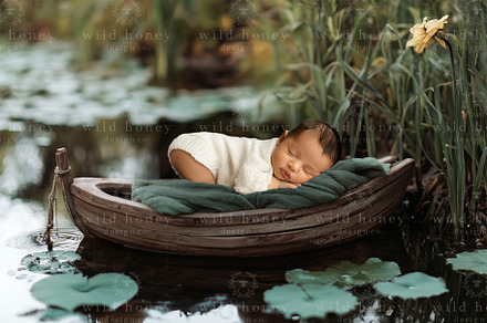 Newborn Boat Digital Backdrop