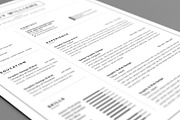 Resume/CV, a Resume Template by UX-group (Thumbnail 8 of 9)