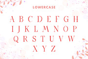 Ravina Monogram Font, a Symbol Font by AnningArts (Thumbnail 6 of 7)