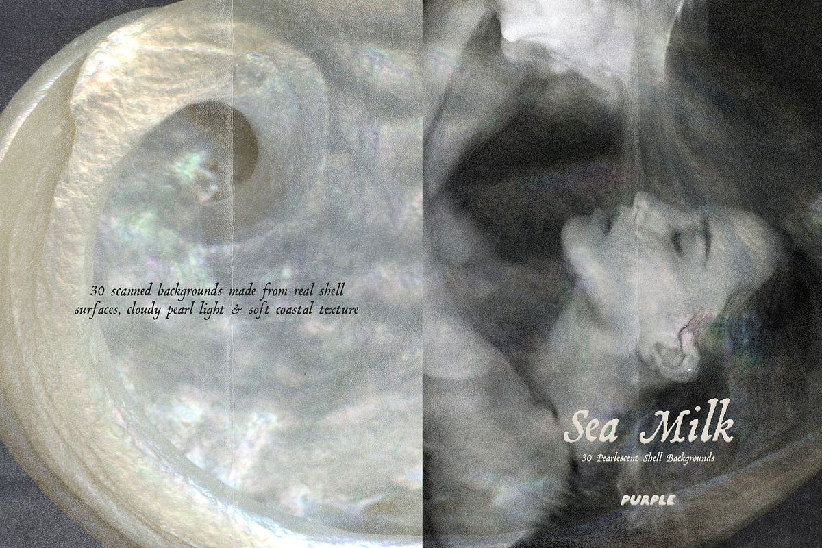 Sea Milk: Sheashell Backgrounds, a Background Graphic by Purple (Photo 4 of 10)