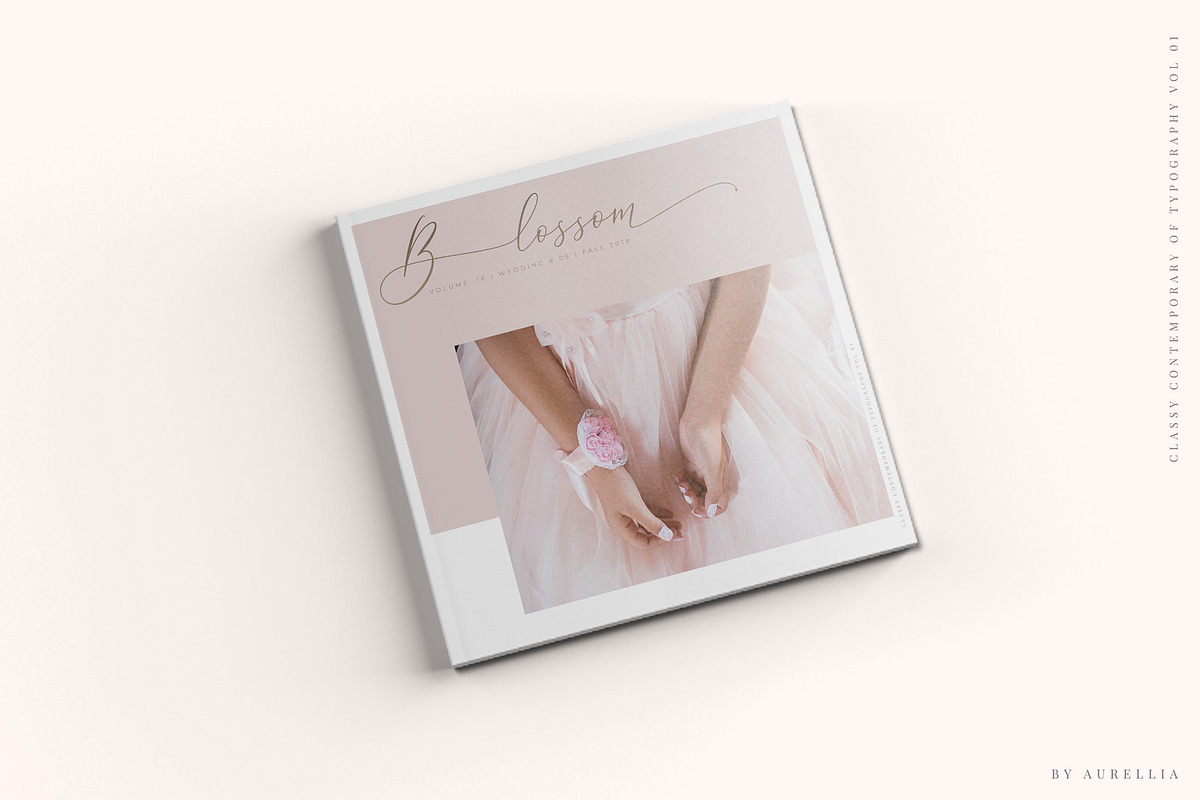 Aurellia Script Classy Fonts preview 6