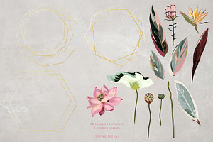 Lotus Seamless Clipart Vector Set