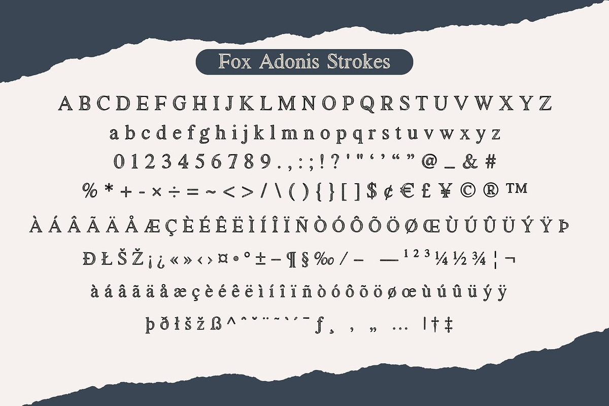 Fox Adonis: 4 Font Styles, a Serif Font by Fox7 By Rattana (Photo 10 of 13)
