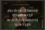 Wilkista - Ligature Typeface, a Serif Font by Graphicxell (Thumbnail 17 of 18)