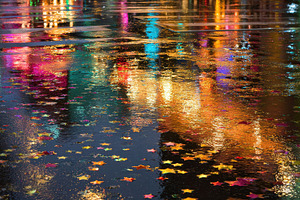 Colorful reflections on wet street, a Photo by Pavel_design