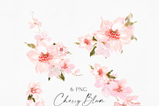 Watercolor Cherry Blossom, an Illustration by Olga Koelsch (Thumbnail 7 of 9)