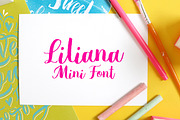 Liliana, a Script Font by Great Lakes Lettering (Thumbnail 1 of 4)