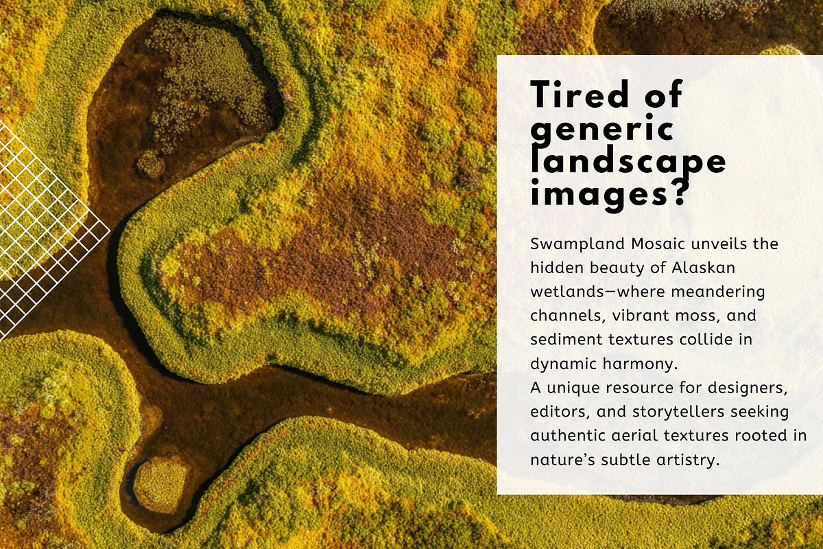 Swampland Mosaic – Aerial Textures, a Nature Photo by Virgo Studio (Photo 2 of 6)