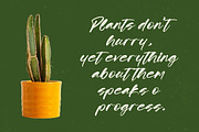 Scatqin Bounty Bold Brush Font, a Script Font by stylishtype.co (Thumbnail 9 of 20)