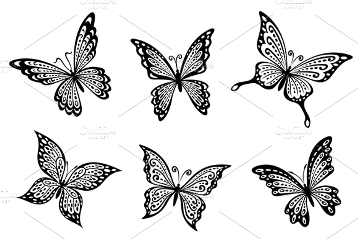 Beautiful butterflies insects, a Graphic by Vector Tradition