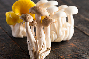 A Variet of Fresh Mushrooms on a Wooden Table
