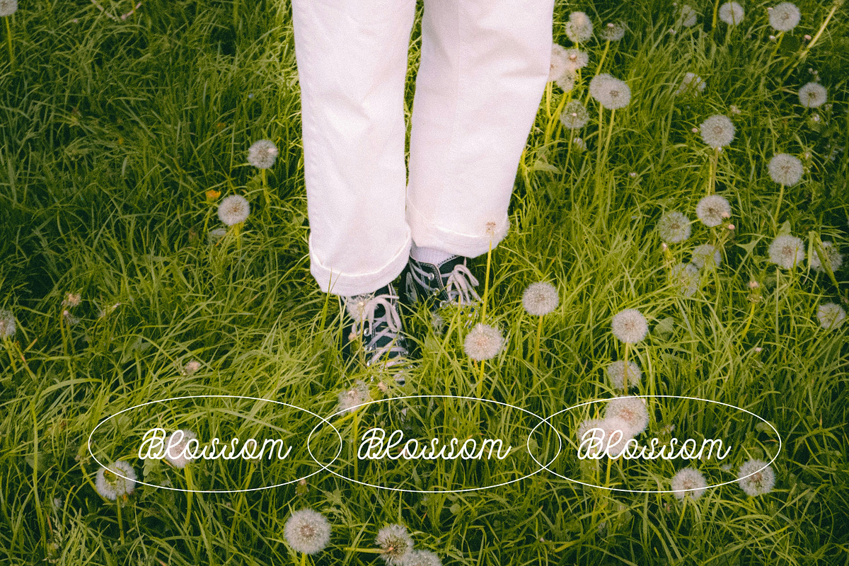 Love Lottery: Monoline font, a Script Font by MCKP*ME (Photo 3 of 8)