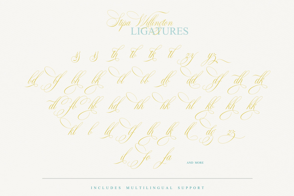 Stipa Willington, a Script Font by Alcode (Photo 9 of 11)