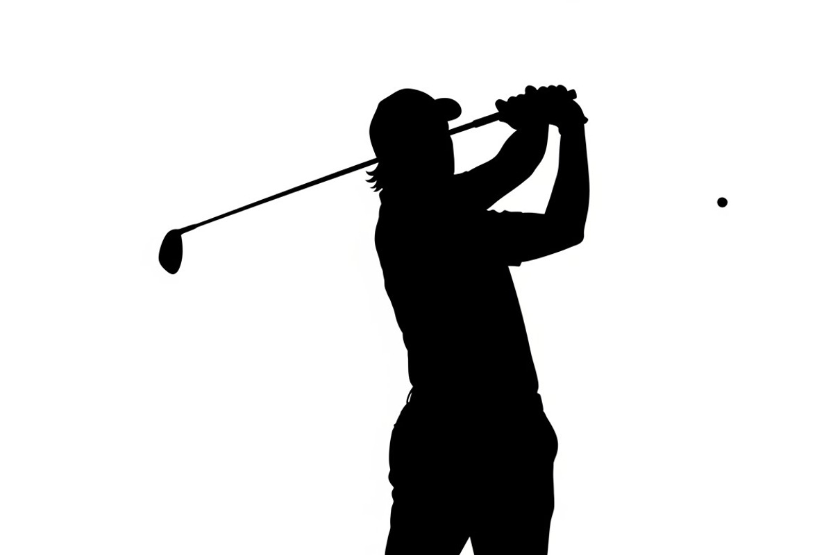 golfing swing silhouettes showcasing, an Illustration by Amazin_art (Photo 18 of 31)