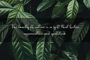 Jungle, a Handwritten Font by Majelis Font (Thumbnail 3 of 5)